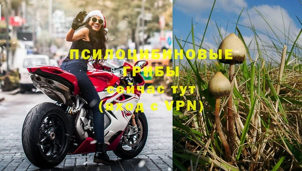 молекула духа Магас